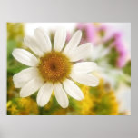 Flower Bouquet - White Daisy Print
