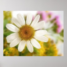 Flower Bouquet - White Daisy Print