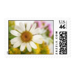 Flower Bouquet - White Daisy Stamps