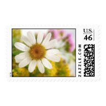 Flower Bouquet - White Daisy Stamps