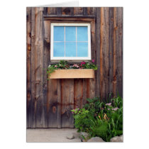 Flower Box and Window cards