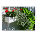 Flower Box Greeting Cards
