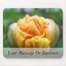 Flower Bud - Iceland Poppy Mouse Pad