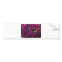 flower bumper sticker