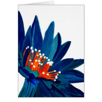 Flower Burst cards