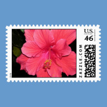 Flower Burst stamps