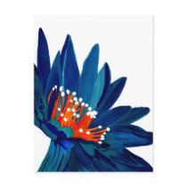 Flower Burst postcards