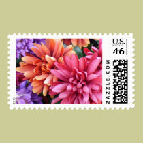 Flower Bursts stamps
