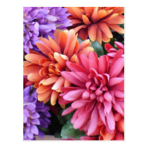 Flower Bursts Postcard