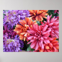 Flower Bursts Poster