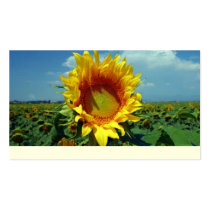 Flower business cards