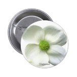 Flower Button Collection - Dogwood buttons
