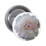 Flower Button Collection - White Rose buttons