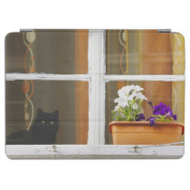 Flower by the window, Sighisoara, Romania iPad Air Cover at  Zazzle