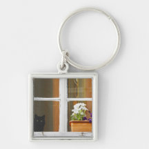Flower by the window, Sighisoara, Romania Keychains