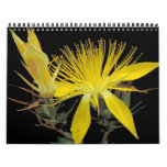Flower calendar