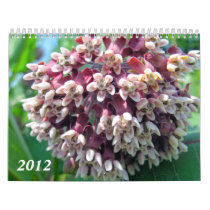 Flower Calendar 2012