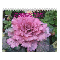 Flower Calendar 2012