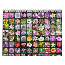 Flower Calender 2 calendars