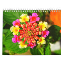 Flower Calender 9 Wall Calendar