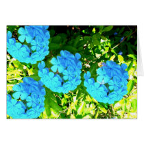 Flower Card by squirrel27 Flower Card