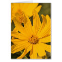 Flower cards