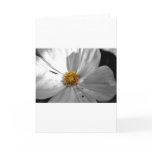 Flower Cards