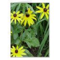 Flower cards