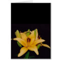 Flower cards