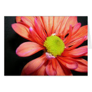 flower card card