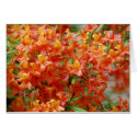 Flower Card