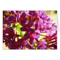Flower cards