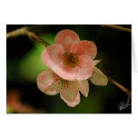 Flower Card