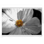 Flower Greeting Cards