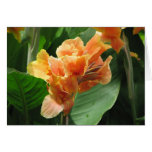 Flower Card