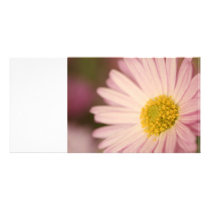 Flower card photo cards by Klauts Flower card photo cards