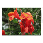 Flower Cards