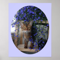 Flower Cat Poster