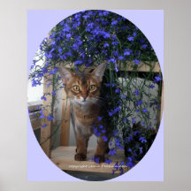 Flower Cat Print