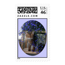 Flower Cat Stamps