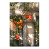 Flower - Chinese Trumpet Creeper (campsis Grandifl posters