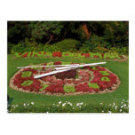Flower Clock Post Cards