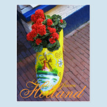 Flower Clog Greetings from Holland Postcard postcards