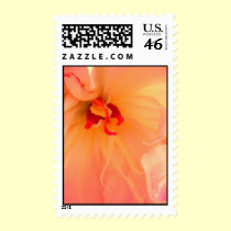 Flower close-up postage