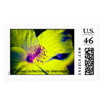 flower collection by downingsf postage stamp