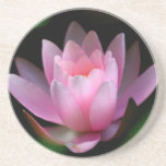 flower coster beverage coaster