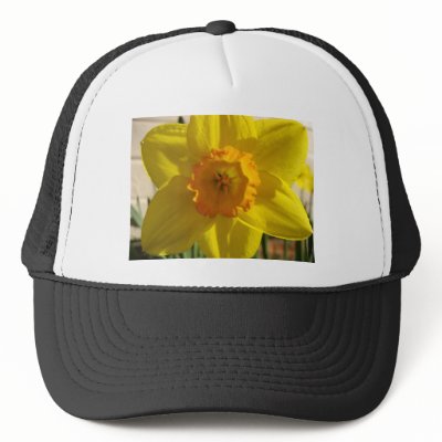 flower,daffodil hats by pinkypetals