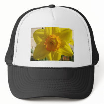 flower,daffodil hats