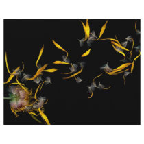 Flower - Daisy - Gone with the wind Custom Flyer