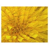 Flower - Dandelion Full Color Flyer